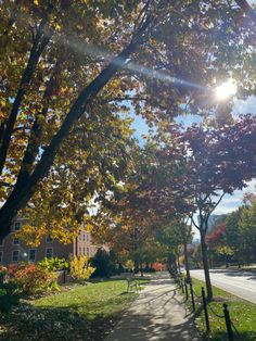 the sun shines brightly through the trees along this path in an autumn park setting