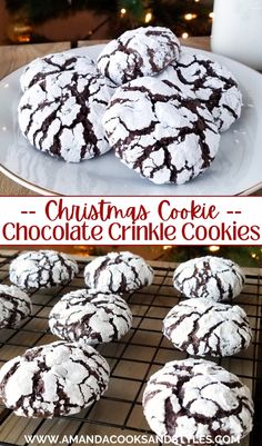 christmas cookie chocolate crinkle cookies on a cooling rack