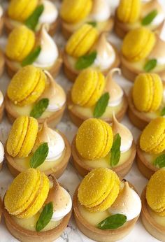 small desserts are arranged in rows on a table