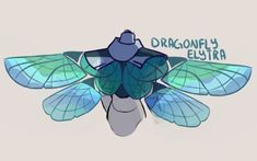 a blue and green insect with the words dragonfly elster on it's back