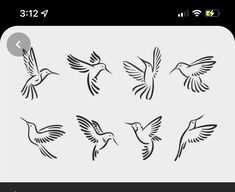 six hummingbirds flying in the air with their wings spread out, black and white