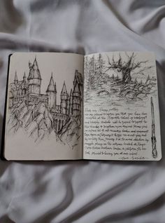 an open book with some drawings on it