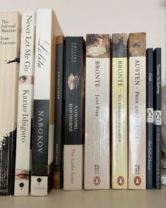 a row of books sitting on top of a wooden shelf