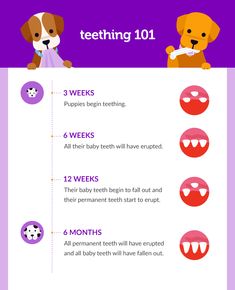 a poster with instructions on how to use teeth for children's dental care and hygiene