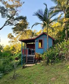 a small blue cabin in the middle of some trees and grass with stairs leading up to it