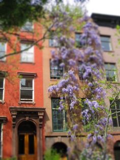 an old building with purple flowers growing on it's front and side windows in the background