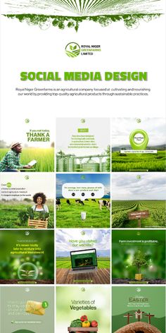 the green and white website design is displayed in several different images, including an image of a