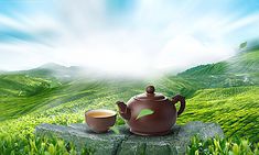 a teapot and cup on a rock in the middle of a grassy field with mountains behind it