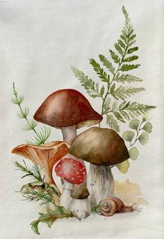 a painting of mushrooms and ferns on a white background