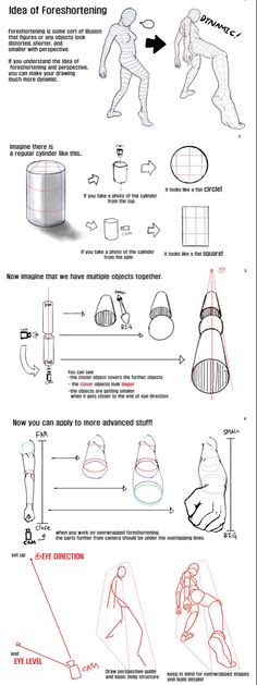 an info sheet showing how to draw the human figure