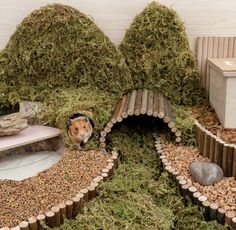 a hamster in its habitat made out of wood logs and grass with rocks around it