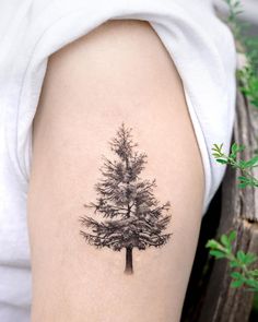 a small pine tree tattoo on the right arm