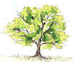 a drawing of a tree with green leaves