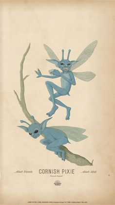 two blue and green fairy - like creatures are depicted in this antique style illustration from the late 19th century