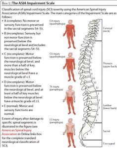 ASIA Impairment (Complete, Incomplete injury or Normal) Geriatric Occupational Therapy, Recreation Therapy