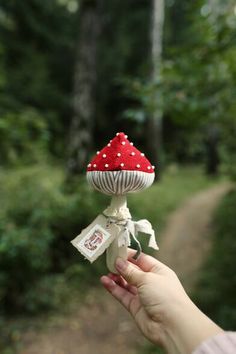 a hand holding a small red and white mushroom