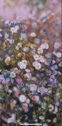 a bunch of flowers that are in some kind of flower field with the words, what do you think?