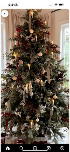 Christmas Tree Inspo, Eucalyptus Stems, Christmas Dreaming, Christmas Tree Decorating Themes, Artificial Eucalyptus, Christmas Tablescape, Christmas Tree Inspiration, Christmas Interiors, Christmas Themes Decorations