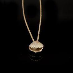 a necklace with a shell on it sitting on a black surface in front of a black background