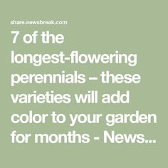 the text reads, 7 of the largest - flowering perennials - these varieties will add color to your garden for months - news