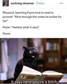 Book Jokes, Instagram Happy Birthday, Throne Of Glass, Book Memes, Fan Book