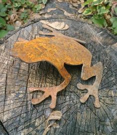 a frog that is sitting on top of a tree stump