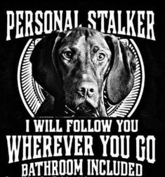 a black and white photo of a dog with the words, personal staker i will follow you wherever you go bathroom included