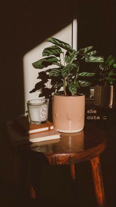 a potted plant sitting on top of a wooden table next to a candle and some books