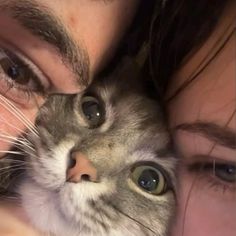 a close up of a person holding a cat in front of their face and looking at the camera