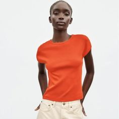 Nwt Zara Ribbed Cotton T-Shirt Red / Orange Red Crew Neck Knit Top, Solid Fitted T-shirt With Ribbed Neckline, Zara Cotton Crew Neck Knit Top, Zara Ribbed Crew Neck Top, Orange Ribbed Crew Neck Top, Zara Casual Fall T-shirt, Red Stretch T-shirt For Fall, Zara Orange Casual Top, Zara Red Short Sleeve T-shirt