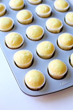 a muffin tin filled with yellow cupcakes