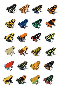 the different colored frogs are sitting together