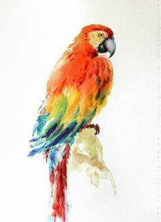 a painting of a colorful parrot perched on a branch