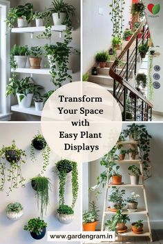 several different types of plants in pots with text overlay that reads transform your space with easy plant displays