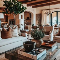 a living room filled with furniture and a potted plant on top of a coffee table