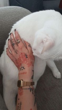 a white cat sitting on top of a woman's arm with tattoos on it