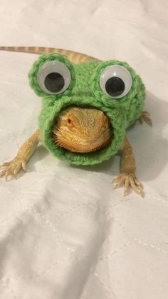 a green frog with googly eyes on top of a white sheet