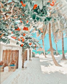 an image of a tropical beach scene with palm trees and flowers in the foreground