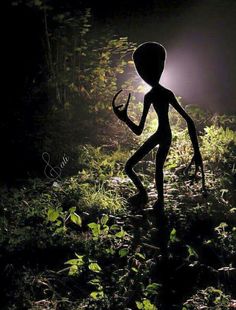 an alien is standing in the grass at night