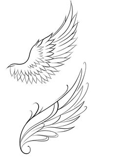 two wings that are drawn in black and white