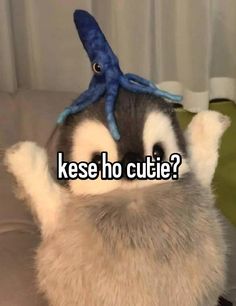 a penguin with an octopus on its head and the words kese ho cutie?