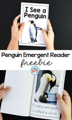 the penguin emerger reader is an easy and fun way to learn how to read penguins