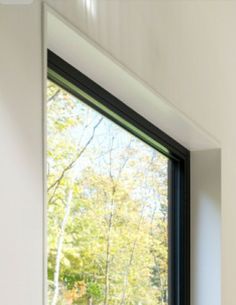 a cat sitting on the window sill looking out at the trees in the woods