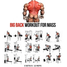 the big back workout for mass