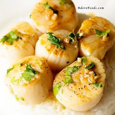 some scallops are on top of white rice and garnished with green herbs