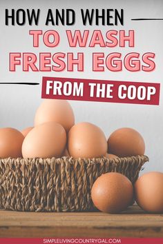 eggs in a basket with text overlay how and when to wash fresh eggs from the coop