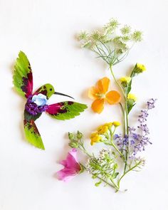 three different types of flowers on a white surface with one hummingbird flying over them