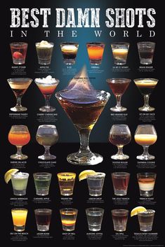 the best damn shots in the world poster with different types of drinks and their names