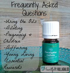 Young Living Oils Recipes, Living Oils Recipes, Eucalyptus Radiata, Essential Oils 101, Essential Oil Remedy, Yl Oils, Oil Remedies, Essential Oils Herbs, Essential Oils Health