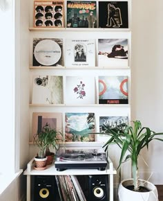 a record player sitting on top of a white shelf next to a potted plant